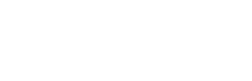 Simples Solutions
